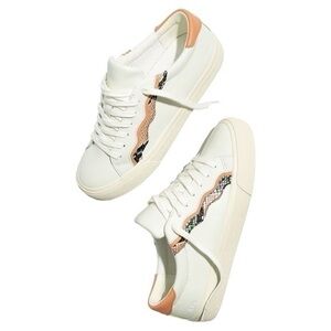 Madewell White Sidewalk Low-Top Sneakers in Snake Embossed Leather Wave Edition